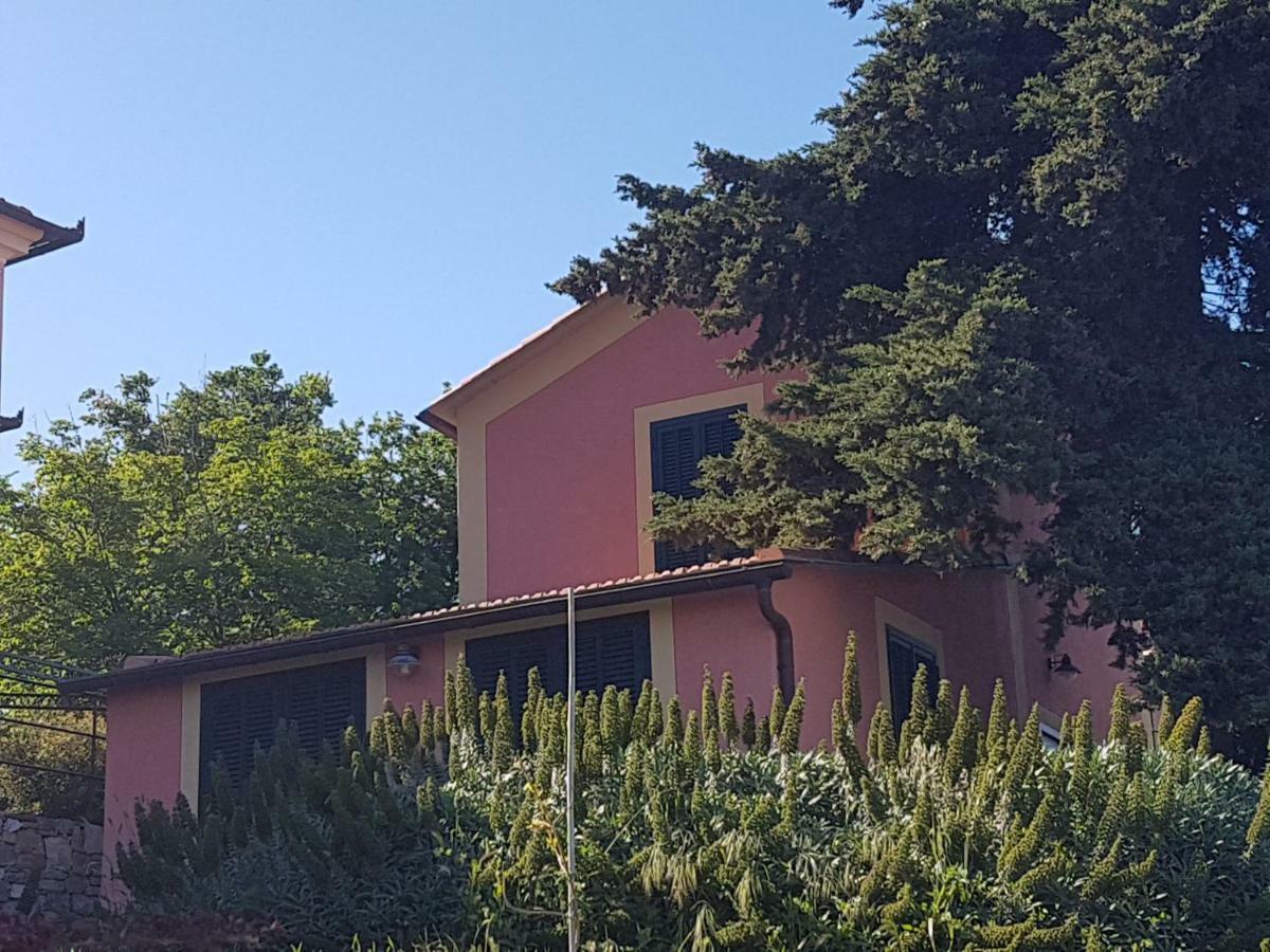 Villa Caterina Империа Екстериор снимка